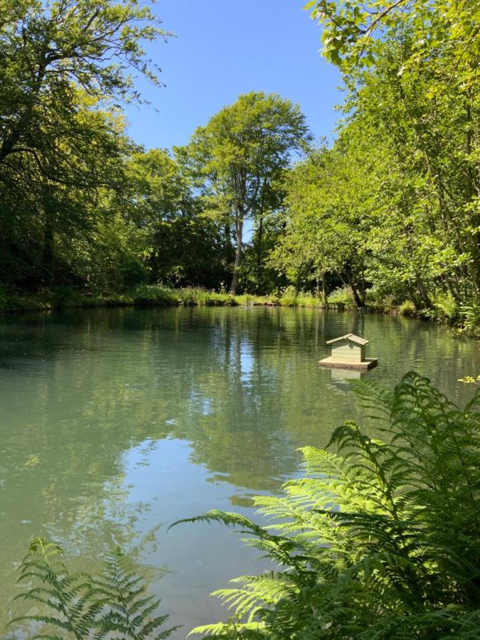 Red River Stables - Peaceful, Beautiful Grounds, Swimming Pool, Central Location For West Cornwall Camborne Zewnętrze zdjęcie