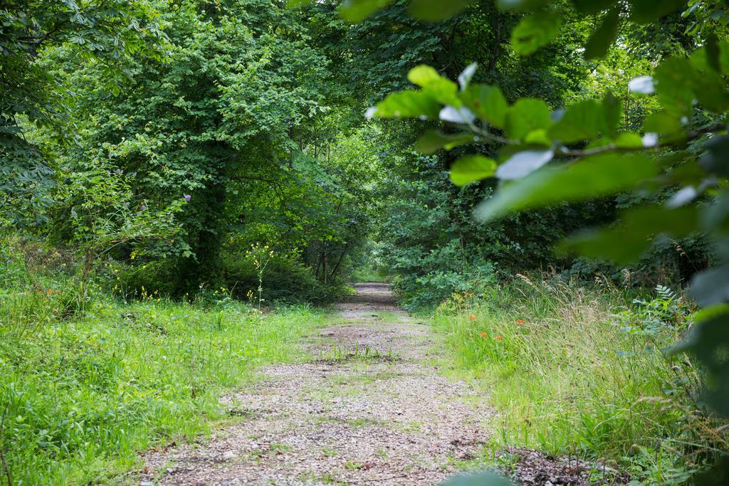 Red River Stables - Peaceful, Beautiful Grounds, Swimming Pool, Central Location For West Cornwall Camborne Zewnętrze zdjęcie